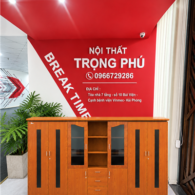 TỦ TÀI LIỆU LÃNH ĐẠO DC3246V7 VENEER
