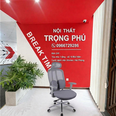 Ghế Công Thái Học GLE04-2 Cao Cấp