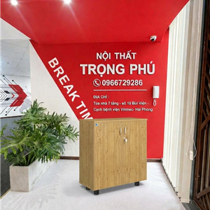TỦ TÀI LIỆU AT880DR ATHENA