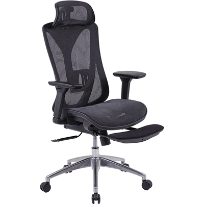 Ghế Công Thái Học The One GLE15 – Ghế Văn Phòng Cao Cấp Có Gác Chân