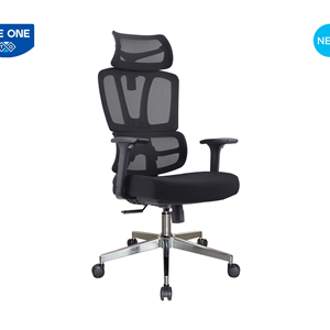 GHẾ CÔNG THÁI HỌC THE ONE GLE01