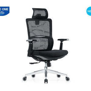 GHẾ CÔNG THÁI HỌC THE ONE GLE02