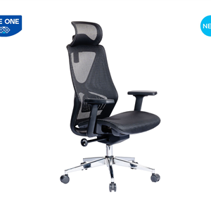 GHẾ CÔNG THÁI HỌC THE ONE GLE06