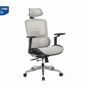 GHẾ CÔNG THÁI HỌC THE ONE GLE12-1
