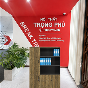 TỦ TÀI LIỆU VĂN PHÒNG BRI1960-3B BRIGHT
